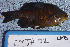  ( - EMJA-02)  @12 [ ] No Rights Reserved (2009) Unspecified Coastal Marine Biolabs