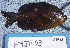  ( - EMJA-03)  @14 [ ] No Rights Reserved (2009) Unspecified Coastal Marine Biolabs