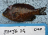  ( - EMJA-04)  @13 [ ] No Rights Reserved (2009) Unspecified Coastal Marine Biolabs