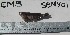  ( - SEMY-01)  @12 [ ] Unspecified (default): All Rights Reserved  Unspecified Unspecified