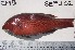  ( - SEPU-02)  @12 [ ] Unspecified (default): All Rights Reserved  Unspecified Unspecified