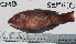  ( - SEPU-10)  @13 [ ] Unspecified (default): All Rights Reserved  Unspecified Unspecified