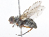  ( - CBG-A07069-H05)  @11 [ ] CreativeCommons - Attribution Share - Alike (2023) CBG Photography Group Centre for Biodiversity Genomics