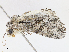  ( - CBG-A10759-F04)  @11 [ ] CreativeCommons - Attribution Share - Alike (2023) CBG Photography Group Centre for Biodiversity Genomics
