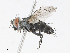  ( - CBG-A10761-F09)  @11 [ ] CreativeCommons - Attribution Share - Alike (2023) CBG Photography Group Centre for Biodiversity Genomics
