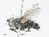  ( - CBG-A10761-F10)  @11 [ ] CreativeCommons - Attribution Share - Alike (2023) CBG Photography Group Centre for Biodiversity Genomics