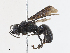  ( - CBG-A10762-E01)  @11 [ ] CreativeCommons - Attribution Share - Alike (2023) CBG Photography Group Centre for Biodiversity Genomics
