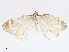  ( - CBG-A10763-G02)  @11 [ ] CreativeCommons - Attribution Share - Alike (2023) CBG Photography Group Centre for Biodiversity Genomics