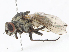  ( - CBG-A10781-B09)  @11 [ ] CreativeCommons - Attribution Share - Alike (2023) CBG Photography Group Centre for Biodiversity Genomics