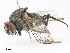  ( - CBG-A10781-B11)  @11 [ ] CreativeCommons - Attribution Share - Alike (2023) CBG Photography Group Centre for Biodiversity Genomics