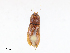  ( - CBG-A10782-G06)  @11 [ ] CreativeCommons - Attribution Share - Alike (2023) CBG Photography Group Centre for Biodiversity Genomics