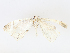  ( - CBG-A10783-F09)  @11 [ ] CreativeCommons - Attribution Share - Alike (2023) CBG Photography Group Centre for Biodiversity Genomics