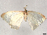  ( - CBG-A10783-H01)  @11 [ ] CreativeCommons - Attribution Share - Alike (2023) CBG Photography Group Centre for Biodiversity Genomics