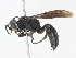  ( - CBG-A10821-F12)  @11 [ ] CreativeCommons - Attribution Share - Alike (2023) CBG Photography Group Centre for Biodiversity Genomics
