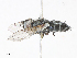  ( - CBG-A10822-E11)  @11 [ ] CreativeCommons - Attribution Share - Alike (2023) CBG Photography Group Centre for Biodiversity Genomics