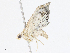  ( - CBG-A10824-B04)  @11 [ ] CreativeCommons - Attribution Share - Alike (2023) CBG Photography Group Centre for Biodiversity Genomics