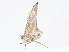  ( - CBG-A10827-B09)  @11 [ ] CreativeCommons - Attribution Share - Alike (2023) CBG Photography Group Centre for Biodiversity Genomics