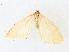 ( - CBG-A13319-D12)  @11 [ ] CreativeCommons - Attribution Share-Alike (2023) CBG Photography Group Centre for Biodiversity Genomics