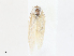  ( - CBG-A16666-B02)  @11 [ ] CreativeCommons - Attribution Share - Alike (2023) CBG Photography Group Centre for Biodiversity Genomics