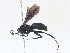  ( - CBG-A16666-G08)  @11 [ ] CreativeCommons - Attribution Share - Alike (2023) CBG Photography Group Centre for Biodiversity Genomics