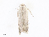  ( - CBG-A16667-H04)  @11 [ ] CreativeCommons - Attribution Share - Alike (2023) CBG Photography Group Centre for Biodiversity Genomics