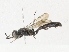  ( - CBG-A16668-D11)  @11 [ ] CreativeCommons - Attribution Share-Alike (2023) CBG Photography Group Centre for Biodiversity Genomics