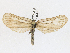  ( - CBG-A13260-A02)  @11 [ ] CreativeCommons - Attribution Share-Alike (2023) CBG Photography Group Centre for Biodiversity Genomics