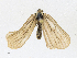  ( - CBG-A13260-A08)  @11 [ ] CreativeCommons - Attribution Share-Alike (2023) CBG Photography Group Centre for Biodiversity Genomics