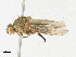  ( - CBG-A13260-F12)  @11 [ ] CreativeCommons - Attribution Share-Alike (2023) CBG Photography Group Centre for Biodiversity Genomics