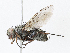  ( - CBG-A13328-C08)  @11 [ ] CreativeCommons - Attribution Share - Alike (2023) CBG Photography Group Centre for Biodiversity Genomics