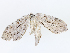  ( - CBG-A13328-E03)  @11 [ ] CreativeCommons - Attribution Share - Alike (2023) CBG Photography Group Centre for Biodiversity Genomics