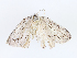  ( - CBG-A13328-E04)  @11 [ ] CreativeCommons - Attribution Share - Alike (2023) CBG Photography Group Centre for Biodiversity Genomics