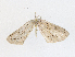  ( - CBG-A13344-A02)  @11 [ ] CreativeCommons - Attribution Share-Alike (2023) CBG Photography Group Centre for Biodiversity Genomics
