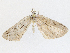  ( - CBG-A13344-A02)  @11 [ ] CreativeCommons - Attribution Share - Alike (2023) CBG Photography Group Centre for Biodiversity Genomics