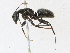  ( - CBG-A13344-A12)  @11 [ ] CreativeCommons - Attribution Share-Alike (2023) CBG Photography Group Centre for Biodiversity Genomics