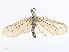  ( - CBG-A13344-H01)  @11 [ ] CreativeCommons - Attribution Share - Alike (2023) CBG Photography Group Centre for Biodiversity Genomics