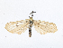  ( - CBG-A13344-H02)  @11 [ ] CreativeCommons - Attribution Share-Alike (2023) CBG Photography Group Centre for Biodiversity Genomics