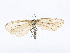  ( - CBG-A13344-H05)  @11 [ ] CreativeCommons - Attribution Share-Alike (2023) CBG Photography Group Centre for Biodiversity Genomics