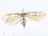  ( - CBG-A13344-H05)  @11 [ ] CreativeCommons - Attribution Share - Alike (2023) CBG Photography Group Centre for Biodiversity Genomics