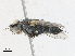  ( - CBG-A14980-B01)  @11 [ ] CreativeCommons - Attribution Share-Alike (2023) CBG Photography Group Centre for Biodiversity Genomics