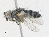  ( - CBG-A14980-B03)  @11 [ ] CreativeCommons - Attribution Share-Alike (2023) CBG Photography Group Centre for Biodiversity Genomics