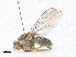  ( - CBG-A14980-H08)  @11 [ ] CreativeCommons - Attribution Share-Alike (2023) CBG Photography Group Centre for Biodiversity Genomics