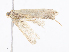  ( - CBG-A14995-H03)  @11 [ ] CreativeCommons - Attribution Share-Alike (2023) CBG Photography Group Centre for Biodiversity Genomics