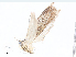  ( - CBG-A14995-H10)  @11 [ ] CreativeCommons - Attribution Share-Alike (2023) CBG Photography Group Centre for Biodiversity Genomics