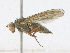  ( - CBG-A14996-A05)  @11 [ ] CreativeCommons - Attribution Share-Alike (2023) CBG Photography Group Centre for Biodiversity Genomics