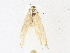  ( - CBG-A14996-D12)  @11 [ ] CreativeCommons - Attribution Share-Alike (2023) CBG Photography Group Centre for Biodiversity Genomics