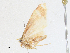  ( - CBG-A14996-E02)  @11 [ ] CreativeCommons - Attribution Share-Alike (2023) CBG Photography Group Centre for Biodiversity Genomics
