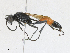  ( - CBG-A15019-E02)  @11 [ ] CreativeCommons - Attribution Share - Alike (2023) CBG Photography Group Centre for Biodiversity Genomics
