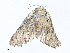  ( - CBG-A15020-H10)  @11 [ ] CreativeCommons - Attribution Share - Alike (2023) CBG Photography Group Centre for Biodiversity Genomics