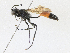  ( - CBG-A16652-B07)  @11 [ ] CreativeCommons - Attribution Share - Alike (2023) CBG Photography Group Centre for Biodiversity Genomics